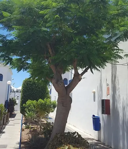 Playmar Sun Maspalomas